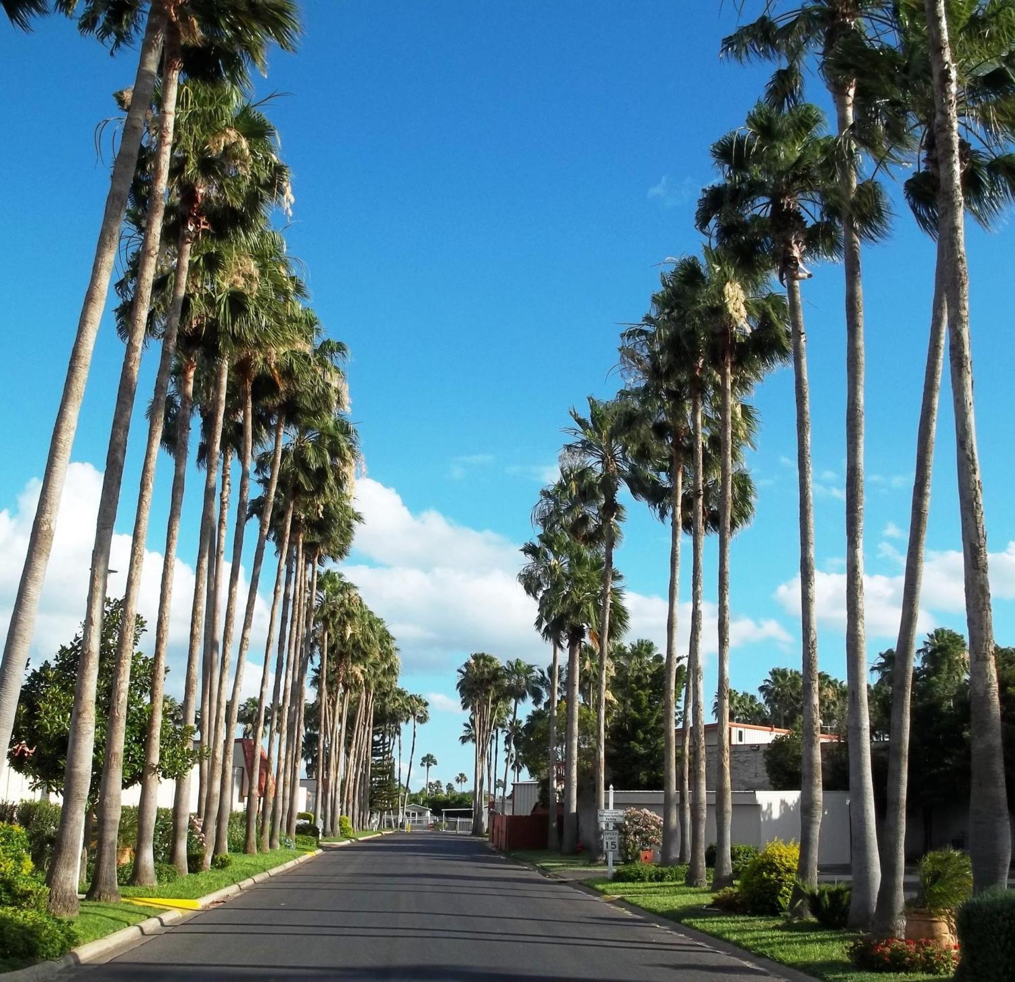 Victoria Palms Inn And Suites Donna Exterior foto